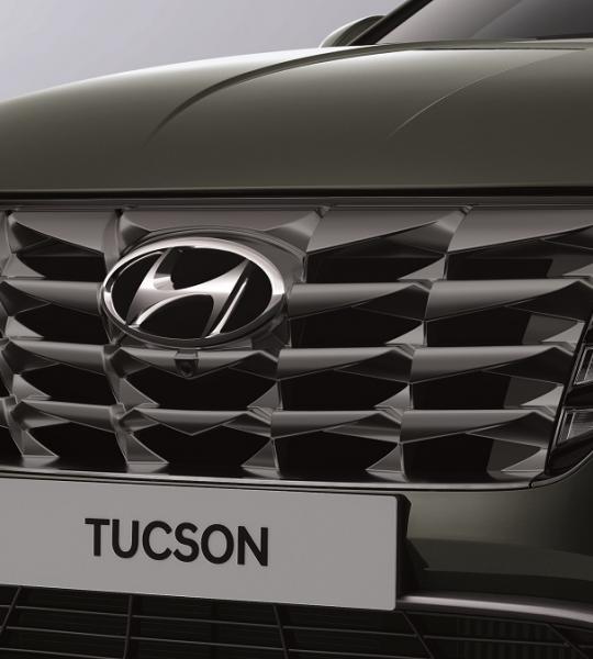 <h4>Radiator Grille</h4>

<p>The outstanding radiator grille adds a unique and distinctive touch to its sophisticated and dynamic design identity.</p>
